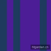 留学生小王